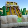 Bouncy Castle - Double Slide Image 8