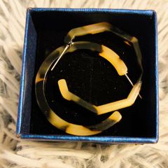 Tortoiseshell Acrylic Hoop Earrings  Geometric Resin Studs for Women