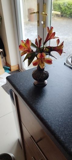 vases