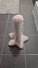 Cat scratcher