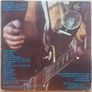 Neil Young 2LP  (Irish) Image 2