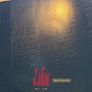 Infinity Dirty Love 12" Vinyl Italian Style ISP1173 1993 Italy House Euro House DJ Image 2