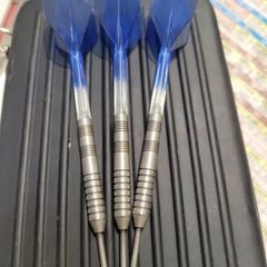 Mick McGowan Darts