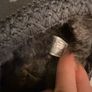 ugg size 5 Image 4