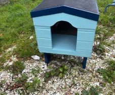 dog box