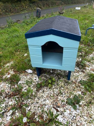 dog box
