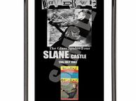 main image for ad David Bowie Slane Castle 1987 With Ticket Framed Poster