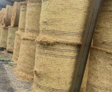 Hay