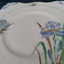 Tuscan china, vintage tea set, bone china Image 10