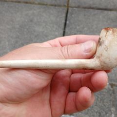 Vintage clay pipe