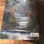 The Irish Garden Top Quality Hardback Large Book by Jane Powers with photographs by Jonathan Hession  - 400 pages Image 6