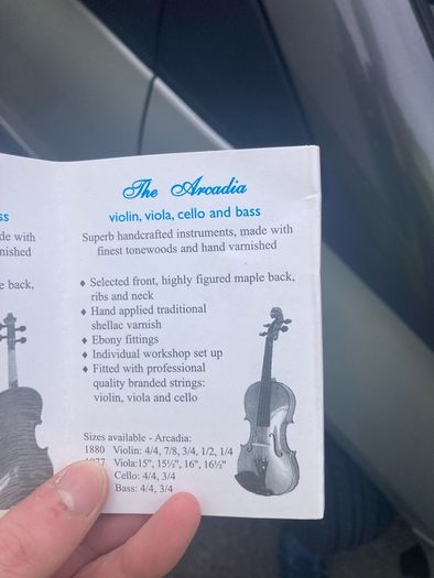 violin