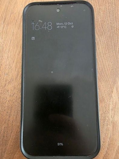 Pixel Pro XL 10