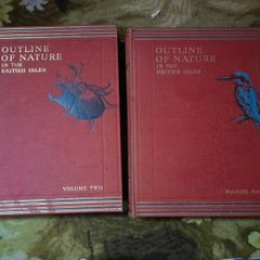 Antique books