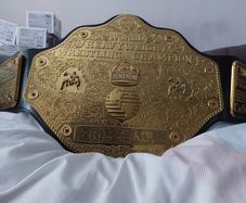 wwe world heavyweight championship