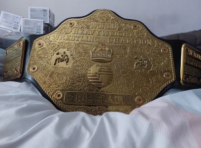 wwe world heavyweight championship