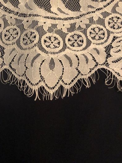 Lace /Navy Dress BNWT