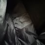 Studio light bag Image 4