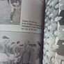 The Irish Lions, 1896 - 2001 / Barry Coughlan/ Signed/ 2001 Image 7