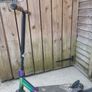 Scooter Image 2