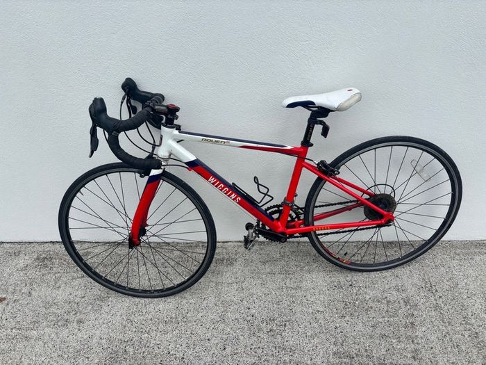 Wiggins Rouen 650 kids bike
