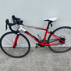 Wiggins Rouen 650 kids bike