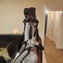 Titleist Hybrid 14 club Golf Bag Image 2