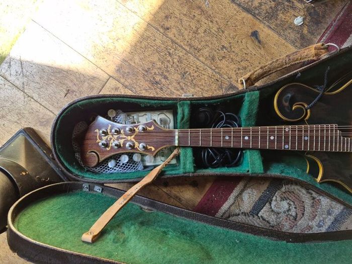 Joe Foley F style mandolin L/H