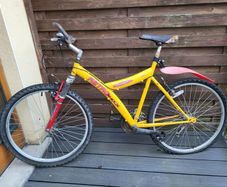Free rusty bike
