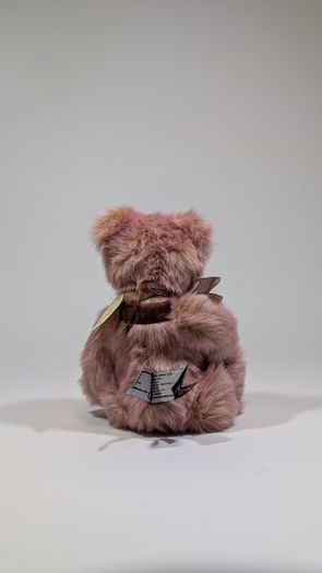 Charlie bears sukhi