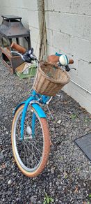 Ryedale peony girls bike