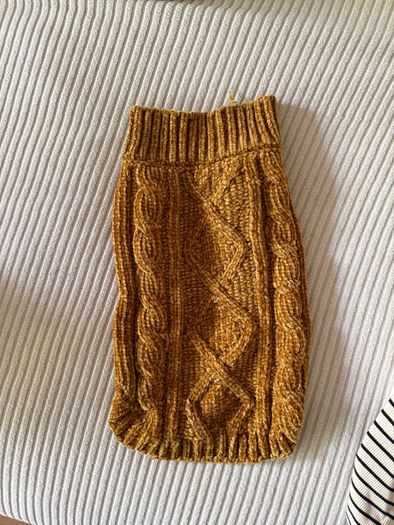 Small Dog Clothes Bundle
