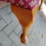 stool Image 4