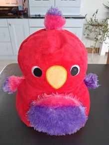 Parrot Squishee