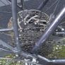Bicycle - Orbea - Mens Image 8