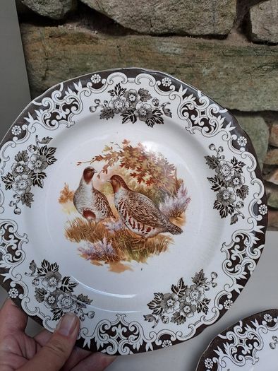 2 Burleigh ducks and fowl plates