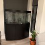 Juwel Vision 260 Aquarium Full Setup Image 3