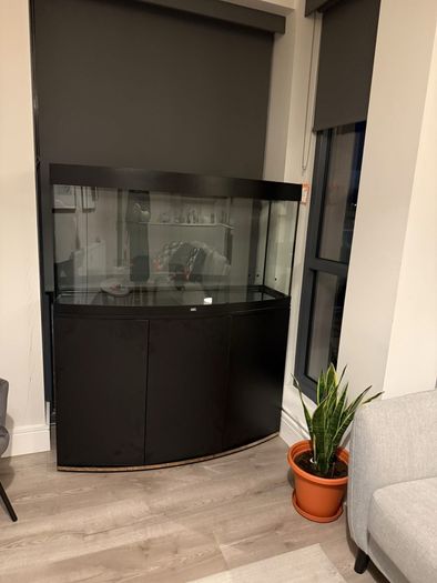 Juwel Vision 260 Aquarium Full Setup