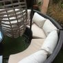 garden Image 7