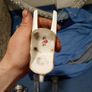 china cutterly Image 3