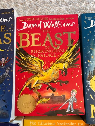 Various David Walliams Books