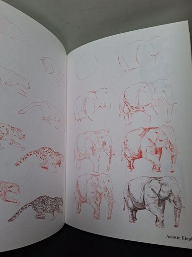 SALE! Set of 4 DRAW 50 drawing books: Dinosaurs, Flowers, Animals and Endangered Animals