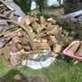 large amount logs &firewood Image 2