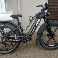 E Bike  .... Fiido Titan Fat Tyre
