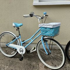 Ladies Bike