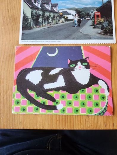 Postcards. Swords, Lusk,Rush, X 8. Plus 21 Others. Some Beautiful Vintage Postcards Included. See Photos Of Each Card.