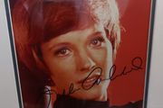 Autographed Julie Andrews 10x8 Photo  Nicely Framed (Real Glass) Vintage Collectible Memorabilia