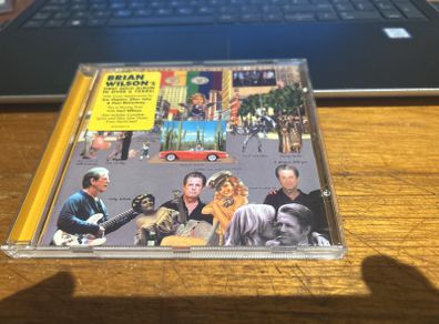 Brian Wilson - Gettin' In Over my Head