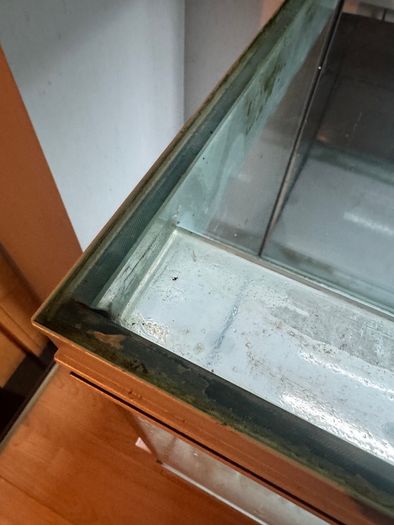 Free fish tank