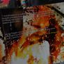 Green Arrow ! Year One ! Graphic Novel ! Trade paperback ! 2009 ! by Dc Comics ! Image 3